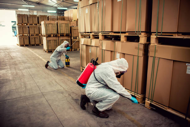 Wasp Removal Services in Tecumseh, MI