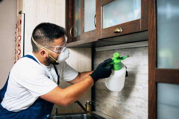 Best Pest Control Treatment  in Tecumseh, MI