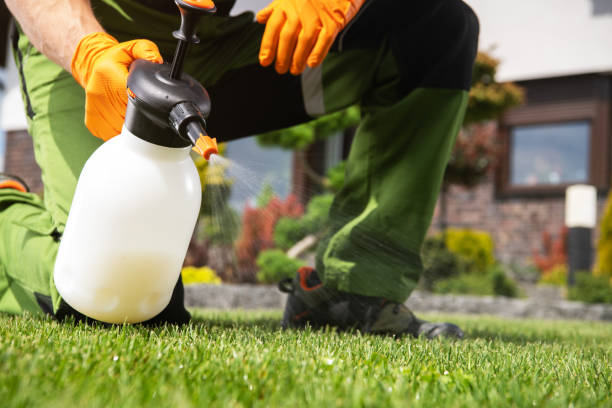 Wildlife Control Services in Tecumseh, MI