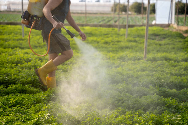 Best Pest Removal Services  in Tecumseh, MI