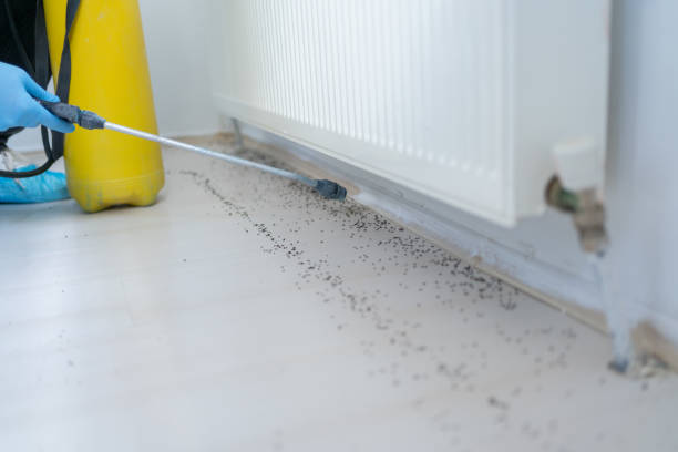 Best Exterminator Services  in Tecumseh, MI