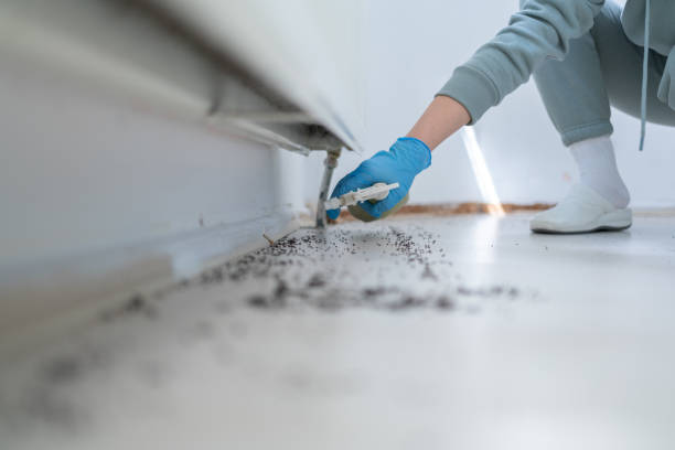 Best Best Pest Control Companies  in Tecumseh, MI